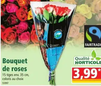Norma Bouquet de Roses offre