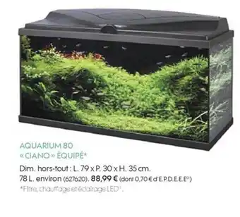 Truffaut Aquarium 80 ciano offre
