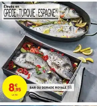 Intermarché Bar Ou Dorade Royale offre