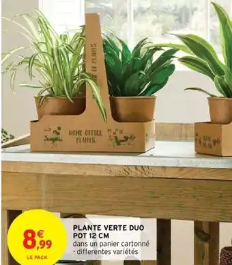Intermarché Plante Verte Duo Pot 12cm offre