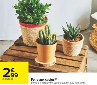 Carrefour Market Foire aux cactus offre
