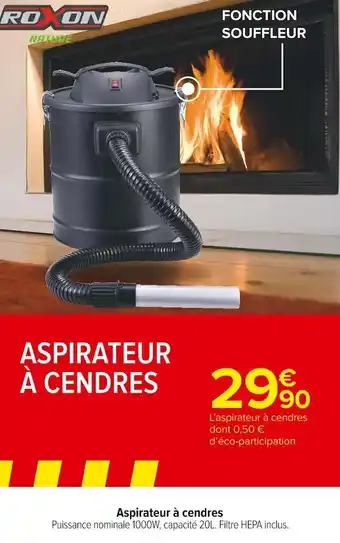 Roxon aspirateur à cendres