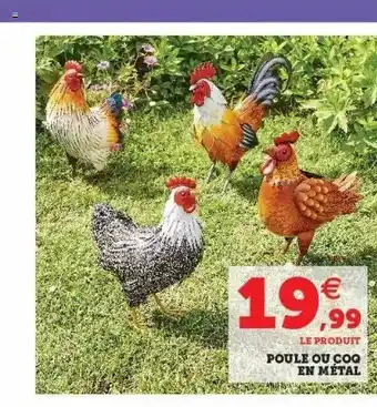 Super U Poule ou coq en métal offre