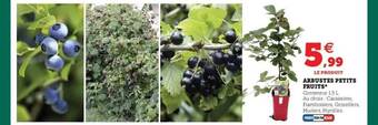 Super U Arbustes petits fruits offre