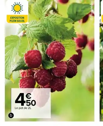 Carrefour Market Framboisier offre