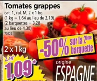Norma Tomates grappes offre