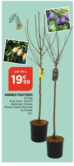Arbres fruitiers