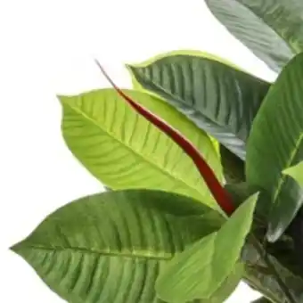 Plante verte artificielle dans pot en céramique h 47 cm