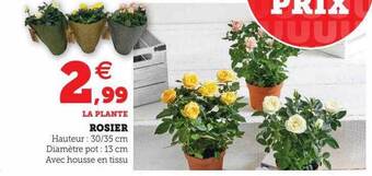 U Express Rosier offre