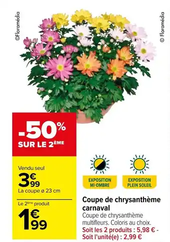 Carrefour Coupe de chrysanthème carnaval offre