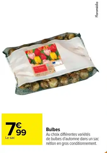 Carrefour Bulbes offre