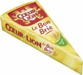 Géant Casino Le Bon Brie 28% M.G. offre