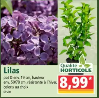 Lilas