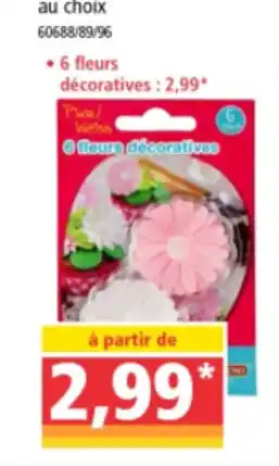 Norma 6 fleurs décoratives offre