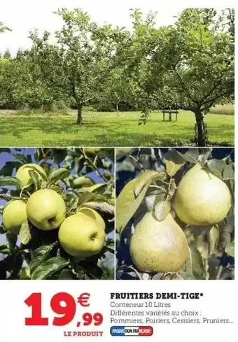 Hyper U Fruitiers demi-tige offre
