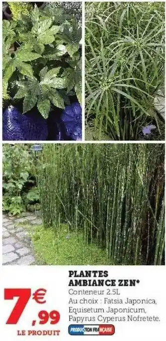 Hyper U Plantes ambiance zen offre