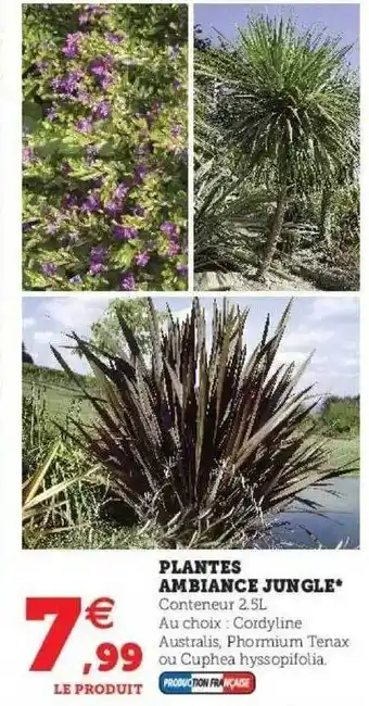 Hyper U Plantes ambiance jungle offre