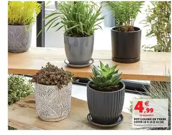 Hyper U Pot coloré en terre cuite offre