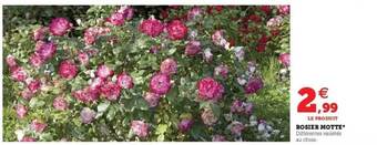 Hyper U Rosier motte offre