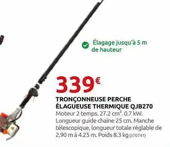 Rural Master Tronçonneuse perche élagueuse thermique qjb270 offre