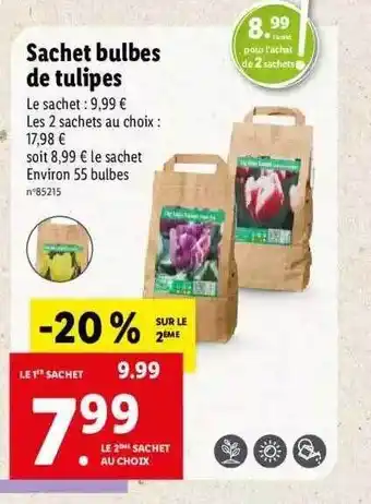 Lidl Sachet bulbes de tulipes offre