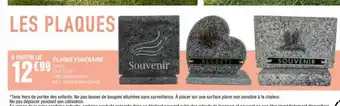 La Foir'Fouille Plaque Funéraire offre