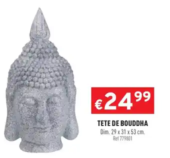 Tete de bouddha