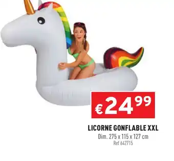 Trafic Licorne gonflable XXL offre