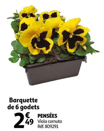 Pensées