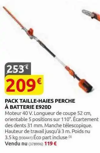 Rural Master Pack taille-haies perche à batterie e920d offre