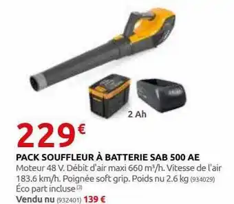 Rural Master Pack souffleur à batterie sab 500 ae offre
