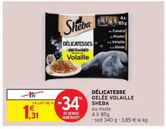 Délicatesse Gelée Volaille Sheba