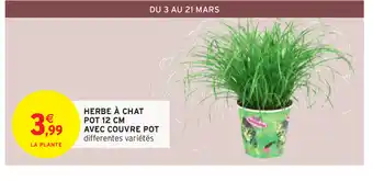 Intermarché Herbe à Chat Pot 12 cm Avec couvre Pot offre