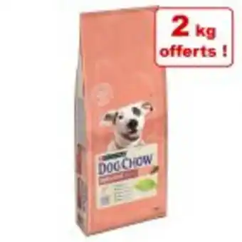 Zooplus Croquettes purina dog chow 12 kg + 2 kg offerts ! offre