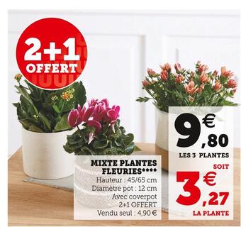 Super U Mixte plantes fleuries offre