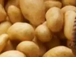 Super U Pomme de terre de consommation offre