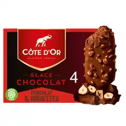 Super U Batonnets creme glacee cote d'or offre