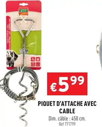 Piquet D'Attache Avec Cable