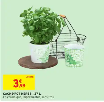Intermarché Cache-Pot Herbs offre