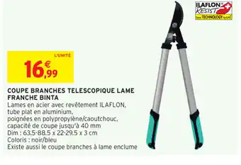 Intermarché Coupe Branches Telescopique Lame offre