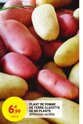 Intermarché Plant de Pomme de Terre Clayette offre