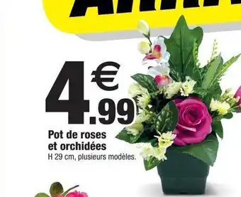 Bazarland Pot de roses et orchidees offre