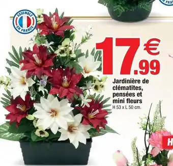 Bazarland Jardinière de clematites, pensees et mini fleurs offre