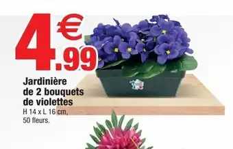 Jardinière de 2 bouquets de violettes