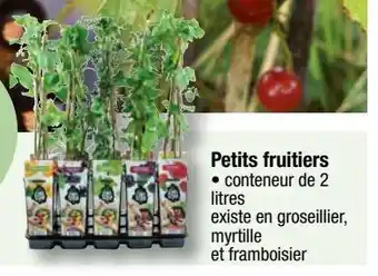 Arbres fruitiers