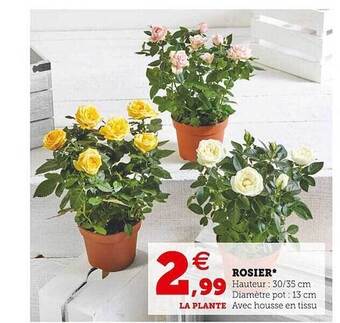 Super U Rosier offre