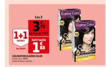 Auchan Coloration eugène color offre