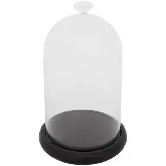 Action Cloche en verre offre