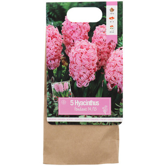 Action Bulbes de fleurs offre
