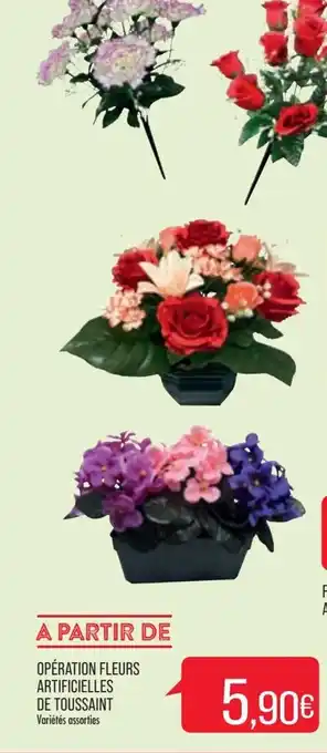 Match Opération Fleurs Artificielles De Toussant offre